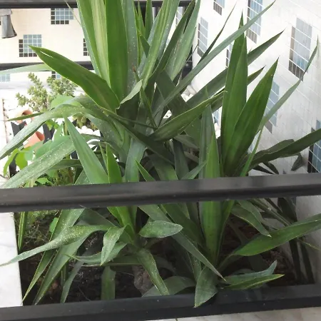 Alojamentos Turismo E Negocios Apartment *