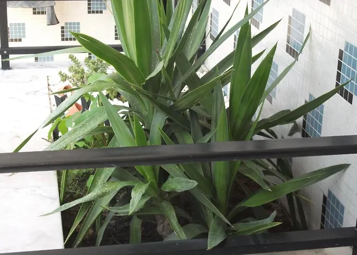 Alojamentos Turismo E Negocios Apartment *